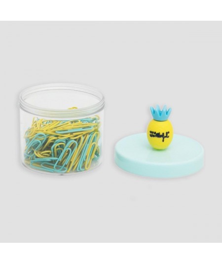 Box of paper clips – Pineapple